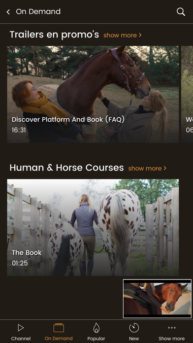 Human & Horse Academy screenshot 4