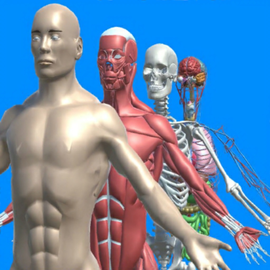 「human anatomy for iphone」搜索结果(共184条)