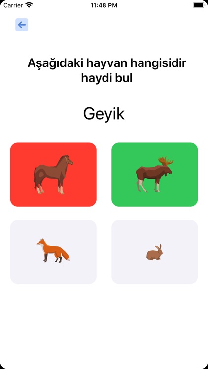 Hayvanları Öğrenelim Tanıyalım screenshot-3