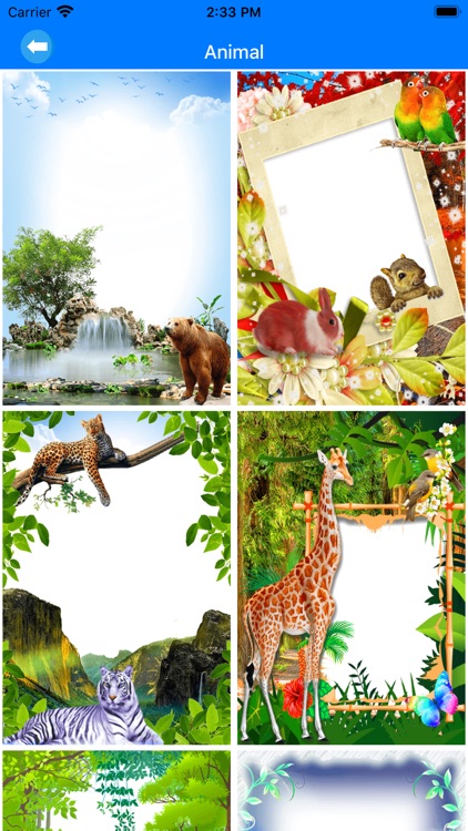 PipFrames:Pip Image Generate