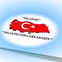 Siladas Sila Yolunda pour PC