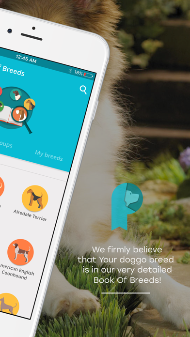 Pawer – All-In-One Dog App screenshot 2