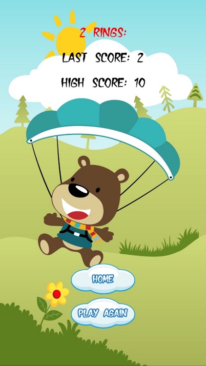 BEAR SKYDIVER