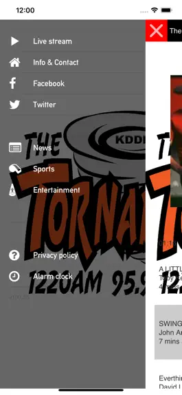 Game screenshot KDDR The Tornado apk