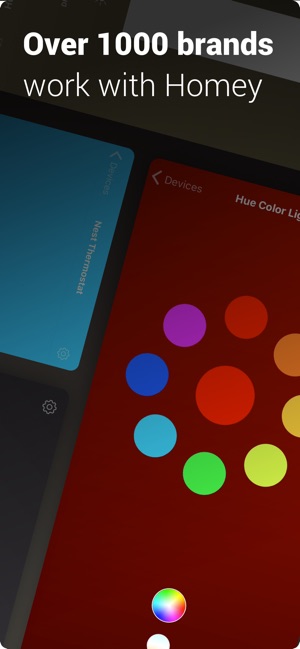 homey google nest hub