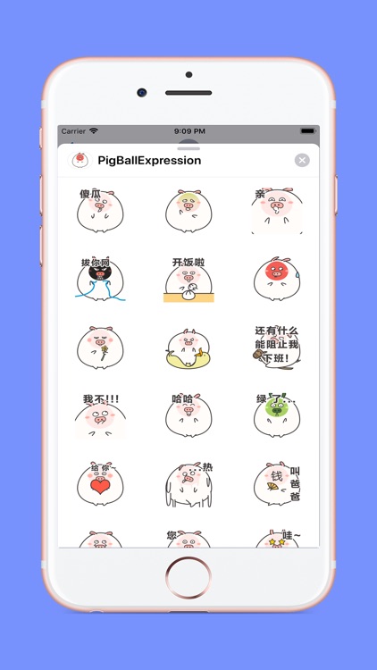 猪肉丸 贴纸 iMessage表情