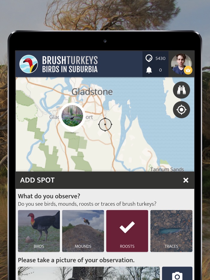 BrushTurkeys  SPOTTERON