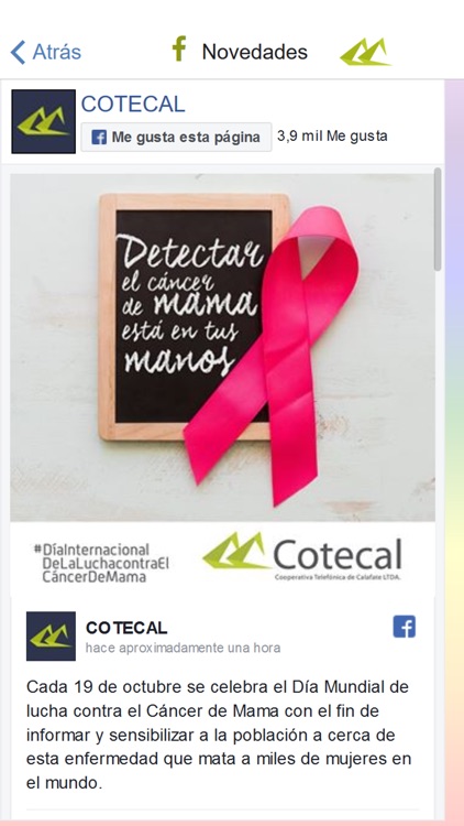 Cotecal