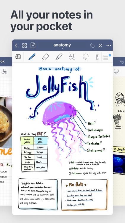 GoodNotes 5