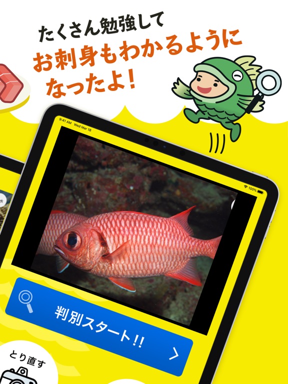フィッシュ-AIが魚を判定する未来の魚図鑑のおすすめ画像2