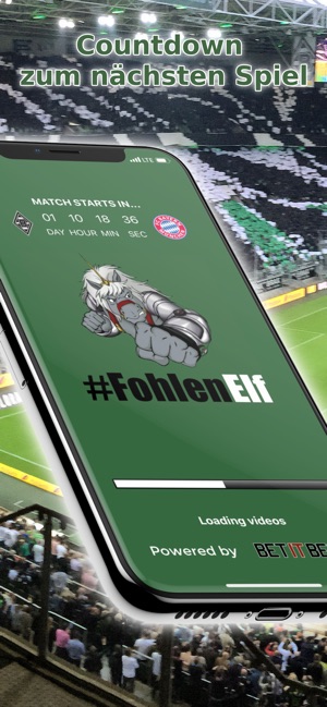 11 Fohlen