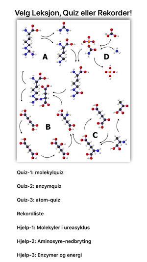 Ureasyklus