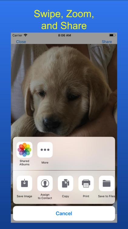 Search My Photos screenshot-5