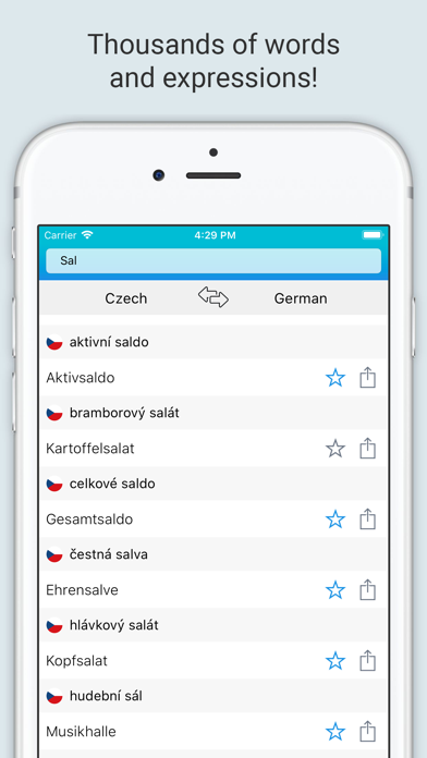 German Czech Dictionary + screenshot 3