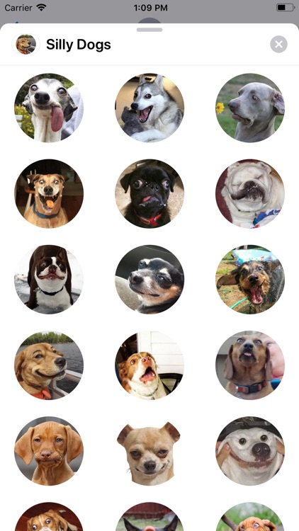 Silly Dogs Sticker Pack
