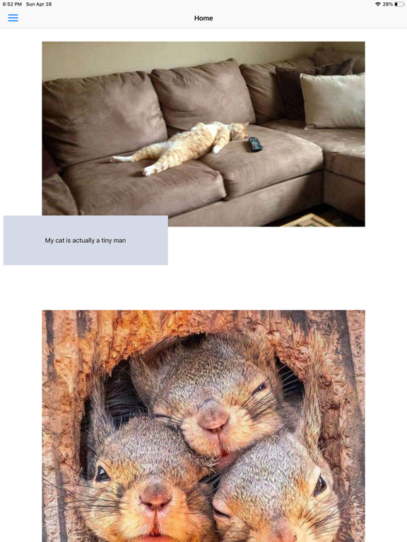 Screenshot #4 pour New Web Best