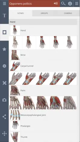 Game screenshot Forearm & Hand: 3D Real-time apk