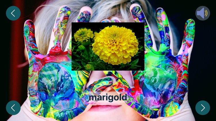 kidslearningwithfun screenshot-7