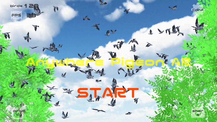 Anywhere Pigeon AR screenshot-4