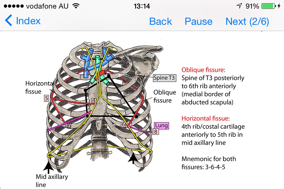 Anatomy Topics in Focus screenshot 2