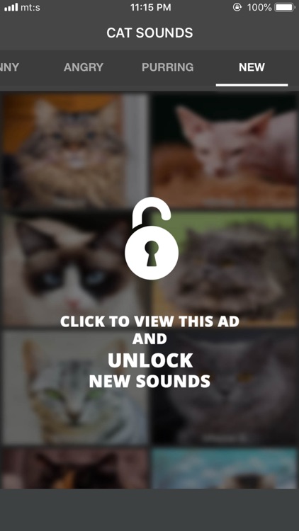 Cat Sounds - Meow Soundboard screenshot-7