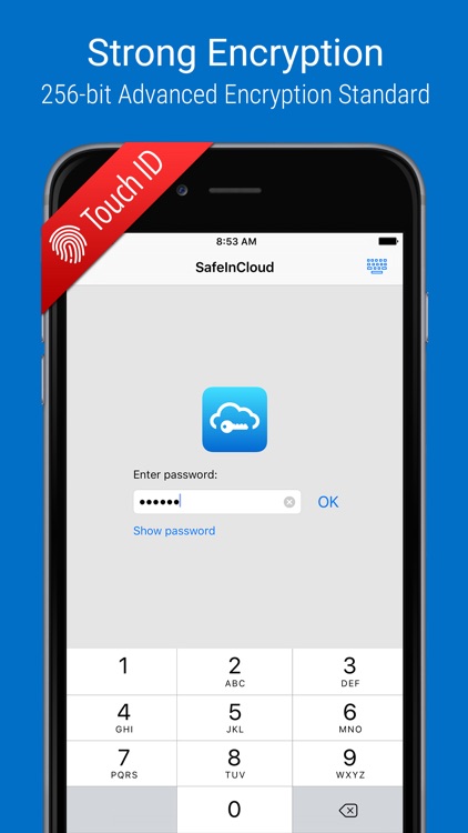 SafeInCloud