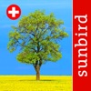 Baum Id Schweiz - Naturführer