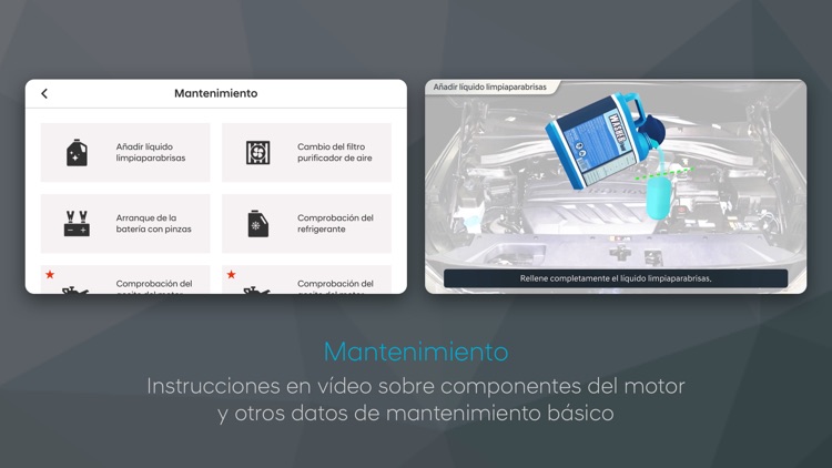 Hyundai Virtual Guide