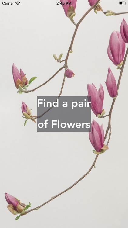 Find a pair of Flowers