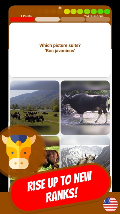 COW & BOVINE Quiz screenshot-6