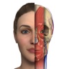 Interactive Anatomy - PT