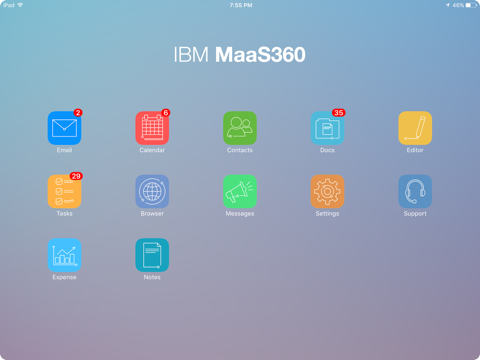 Скриншот из IBM MaaS360