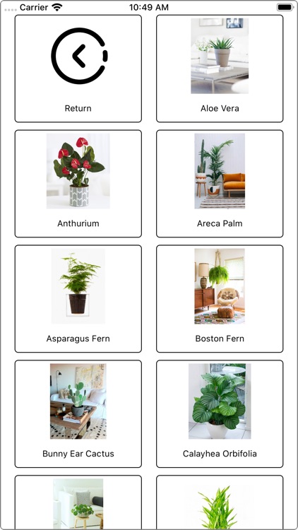 Indoor plants