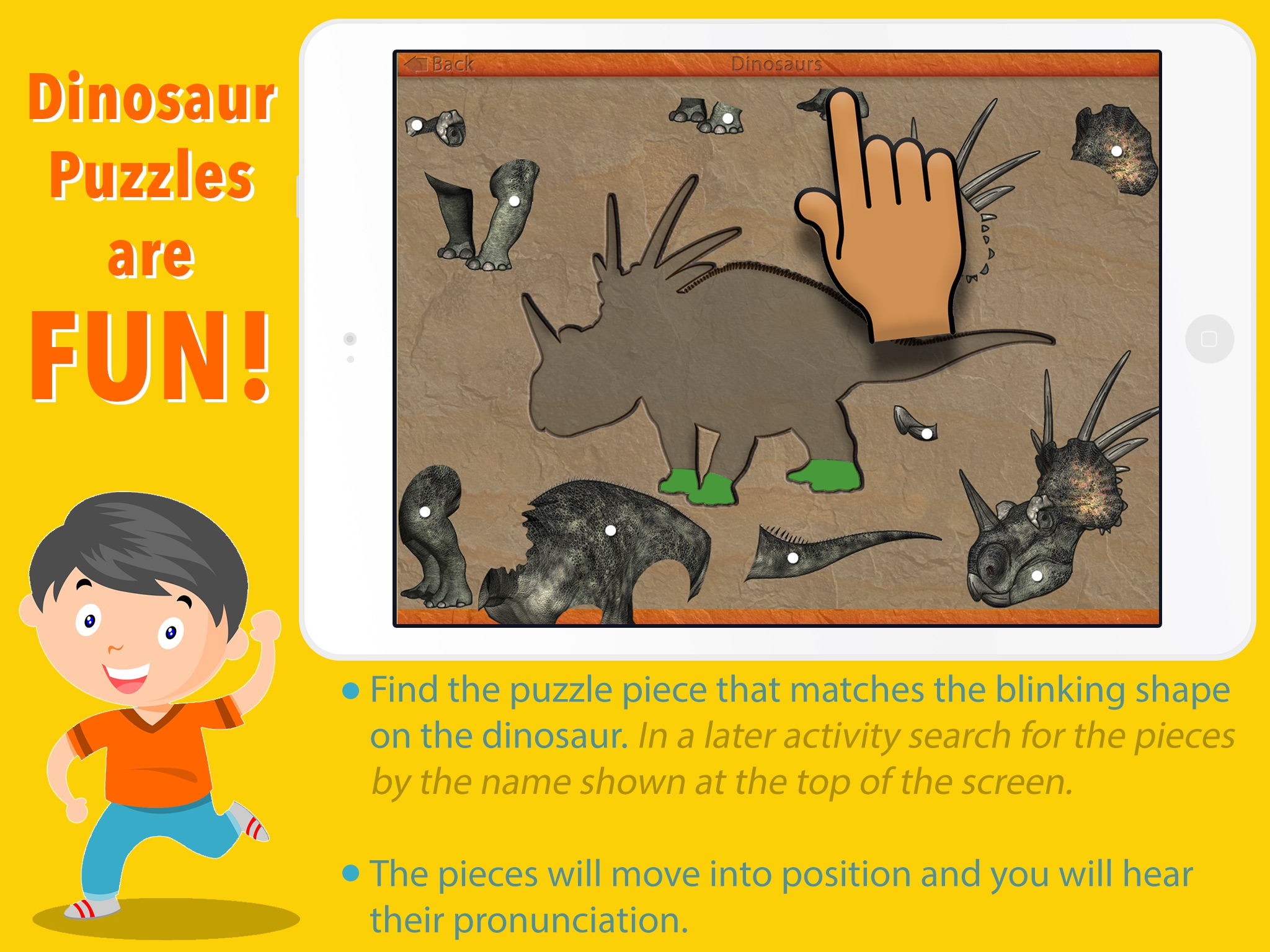 Let's Learn About Dinosaurs! screenshot 4