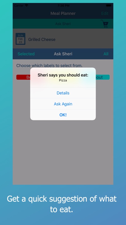 Decisive Wife Meal Planner