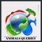 Learn more about animals in this very simple, amazing and ads free app