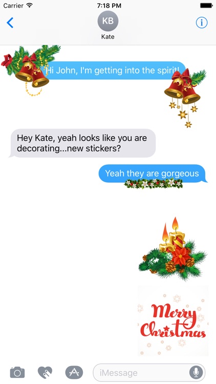 Beautiful Christmas Stickers