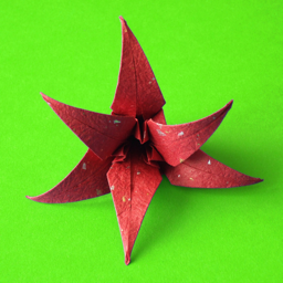 Ícone do app Origami Flowers