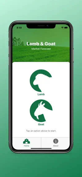 Game screenshot Lamb & Goat Market Forecast mod apk