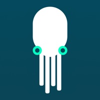 Contacter SQUID – Actualité et magazines