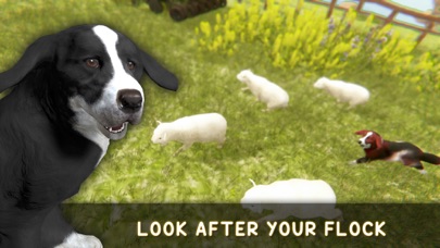 Silly Sheep Run- Farm Dog Game screenshot 2