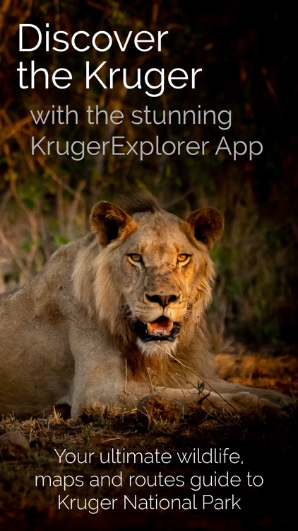 KrugerExplorer