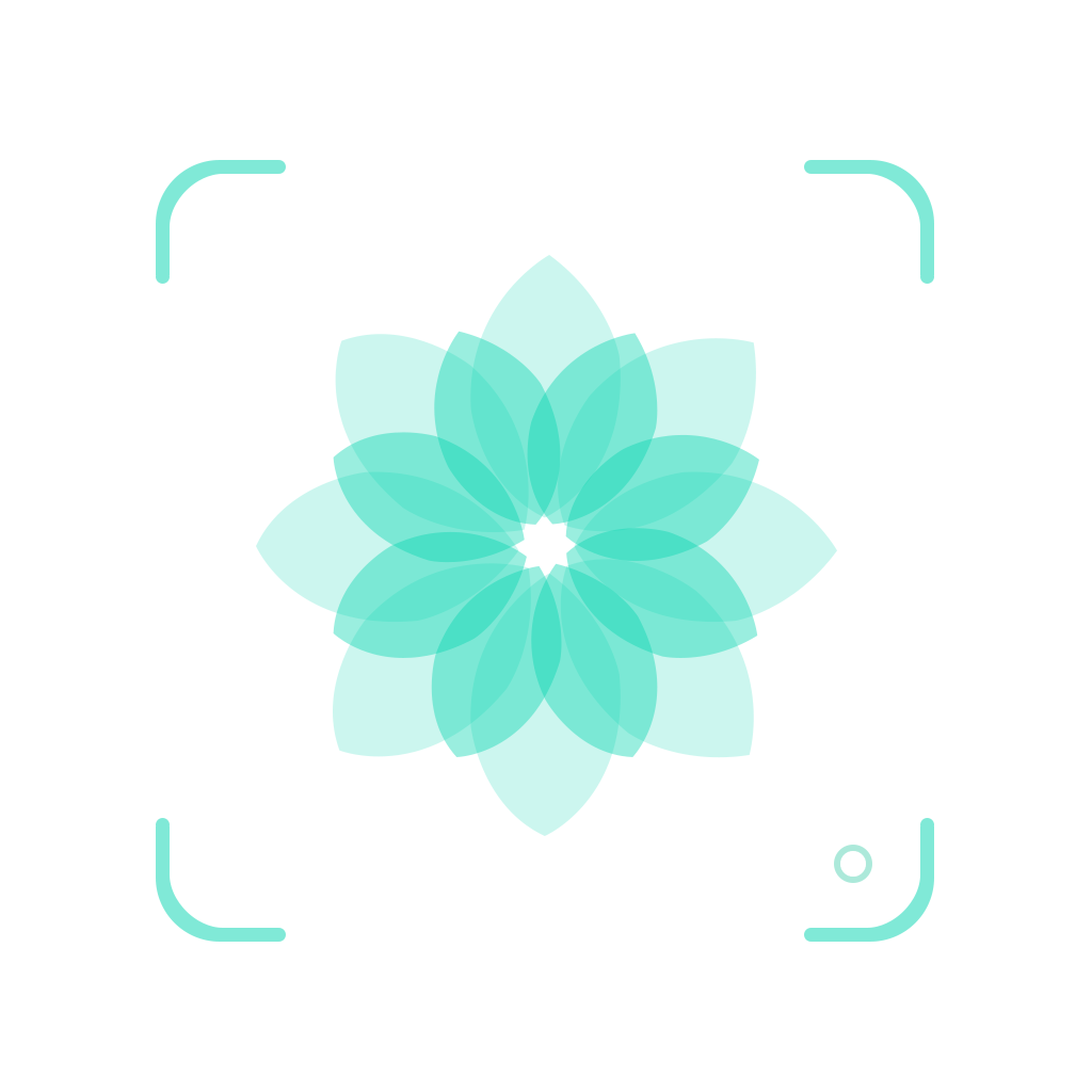 Photo Flower Identification App Icon
