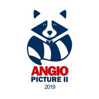 Angiopicture 2019 pour PC
