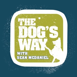 The Dog's Way