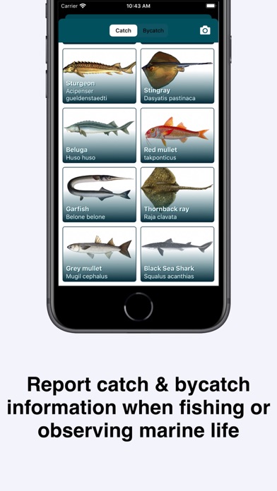 NetGuard - Reduce Bycatch screenshot 3