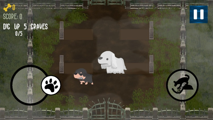 Ghost Doggo Graveyard