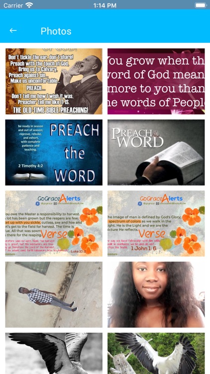 Minezeal screenshot-6