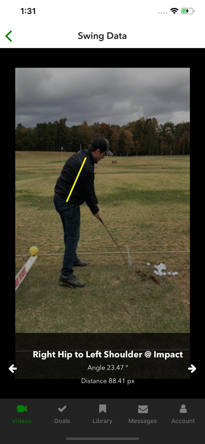 Swingbot Swing Analysis Coach