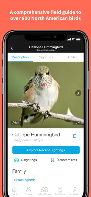 Captura 2 Audubon Bird Guide iphone